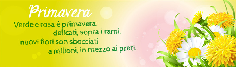primavera banner primavera